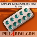 Kamagra 100 Mg Oral Jelly How To Use dapoxetine1